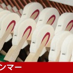 中古ピアノ アポロ(APOLLO AW500) グラデーションが美しい木目・猫脚ピアノ 中古ピアノ アポロ(APOLLO AW500) グラデーションが美しい木目・猫脚ピアノ