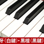 中古ピアノ スタインウェイ&サンズ(STEINWAY&SONS D274) スタインウェイD型 フルコンサートグランド 中古ピアノ スタインウェイ&サンズ(STEINWAY&SONS D274) スタインウェイD型 フルコンサートグランド