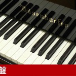 中古ピアノ ベーゼンドルファー(BOSENDORFER 200) 「音楽の都ウィーン」で生まれた歴史と伝統のあるピアノ