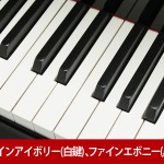 新品ピアノ ディアパソン(DIAPASON DR300) ディアパソン「総一本張」採用モデル 新品ピアノ ディアパソン(DIAPASON DR300) ディアパソン「総一本張」採用モデル