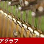 中古ピアノ ベヒシュタイン(C.BECHSTEIN 12n) ベヒシュタインならではの色彩豊かな音色