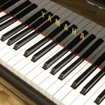 中古ピアノ ヤマハ(YAMAHA GC1PE) 奥行161cm 高年式コンパクトグランド