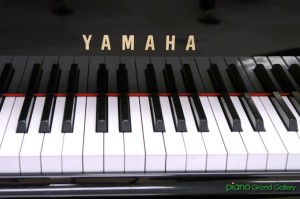 YAMAHA　A1LSN　ブログ2