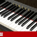 中古ピアノ ヤマハ(YAMAHA C3B) 根強い人気を誇るヤマハ「Cシリーズ」