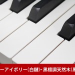 中古ピアノ ヤマハ(YAMAHA C3SG) 2010年製の消音（サイレント）機能付グランド