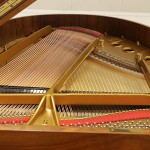 中古ピアノ スタインウェイ(Steinway&Sons S-155 チッペンデール) 美しい曲線が織りなすスタインウェイの芸術品