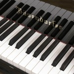 中古ピアノ ベーゼンドルファー(BOSENDORFER 170) 「至福のピアニッシモ」といわれる繊細で美しい響き