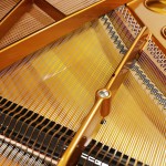 中古ピアノ ベーゼンドルファー(BOSENDORFER 170) 「至福のピアニッシモ」といわれる繊細で美しい響き