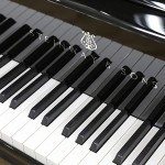 中古ピアノ スタインウェイ＆サンズ(STEINWAY&SONS L179) 従来のデザインの概念を超越したモデル