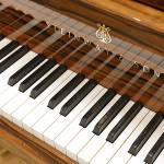 中古ピアノ スタインウェイ＆サンズ(STEINWAY&SONS M170) 貴重な銘木「マカッサル・エボニー」を使用した美しい1台