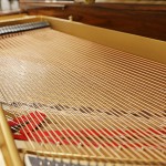 中古ピアノ スタインウェイ＆サンズ(STEINWAY&SONS M170) 貴重な銘木「マカッサル・エボニー」を使用した美しい1台