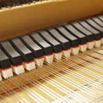 中古ピアノ スタインウェイ＆サンズ(STEINWAY&SONS M170) 貴重な銘木「マカッサル・エボニー」を使用した美しい1台