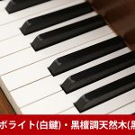 中古ピアノ ヤマハ(YAMAHA C1X) ヤマハ「CXシリーズ」の木目コンパクトグランド