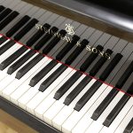 中古ピアノ スタインウェイ＆サンズ(STEINWAY&SONS D274) 世界中のトップピアニストやコンサートホールから圧倒的な支持を受けるフルコンサートグランドの頂点