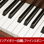 中古ピアノ カワイ(KAWAI RX2Wn) 木目特注仕様！優雅な音と響きの美しいハーモニー