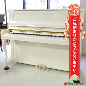 愛知県名古屋市K様のお声　WENDL&LUNG(ウェンドル＆ラング)　AU118Wh