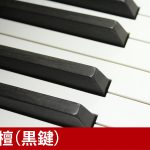 中古ピアノ ベーゼンドルファー(Bösendorfer 200) 「音楽の都ウィーン」で生まれた歴史と伝統のあるピアノ