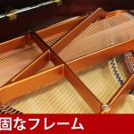 中古ピアノ ベーゼンドルファー(Bösendorfer 200) 「音楽の都ウィーン」で生まれた歴史と伝統のあるピアノ