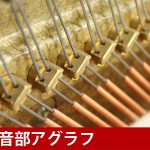 中古ピアノ プレイエル(PLEYEL romantik（ロマンチカ）) 希少！ショパンが愛したピアノ「プレイエル」