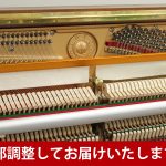 中古ピアノ アポロ(APOLLO A120　PIERRE(ピエルレ) ) 希少！アポロの高年式インテリアモデル