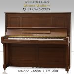yamaha_yu11wnsd_1-300x225.jpg