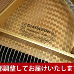 中古ピアノ ディアパソン(DIAPASON D171BG) お手ごろ価格の本格派グランド