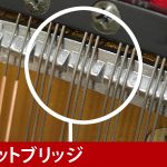中古ピアノ アポロ(APOLLO SR85DM) グランドピアノに迫る音とタッチ！東洋ピアノのSSS搭載モデル！