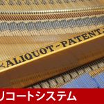 中古ピアノ ブリュートナー(Bluthner model10) 世界四大ピアノメーカー「ブリュートナー」スモールグランド