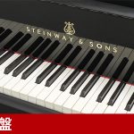 中古ピアノ スタインウェイ＆サンズ(STEINWAY&SONS D274) スタインウェイD型　フルコンサートグランド