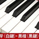 中古ピアノ スタインウェイ＆サンズ(STEINWAY&SONS D274) スタインウェイD型　フルコンサートグランド