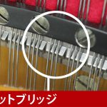 中古ピアノ アポロ(APOLLO SR85) グランドピアノに迫る音とタッチ！東洋ピアノのSSS搭載木目調モデル！