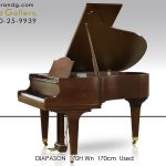 diapason_170hwn_6_1-1-150x150.jpg