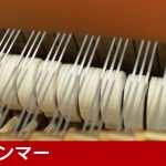 中古ピアノ スタインウェイ＆サンズ(STEINWAY&SONS O-180) スタインウェイ　リビングルームグランドピアノ