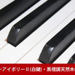 中古ピアノ ヤマハ(YAMAHA A1AE) ヤマハグランドピアノ100周年記念モデル