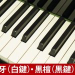 中古ピアノ ベーゼンドルファー(BOSENDORFER Model 225) セミコンダートグランド