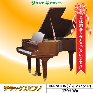 千葉県流山市W様のお声　DIAPASON　170H