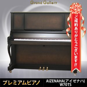 三重県四日市市M様のお声　AIZENAHA　W70TS