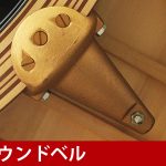 中古ピアノ スタインウェイ＆サンズ(STEINWAY&SONS B211) サロンや小規模ホールにも最適な1台