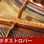 中古ピアノ ベーゼンドルファー(BOSENDORFER 170) 「ウィーンの至宝」ベーゼンドルファー