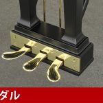 中古ピアノ スタインウェイ＆サンズ(STEINWAY&SONS Model.D) ニューヨーク製フルコンサートグランド