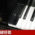 中古ピアノ ベーゼンドルファー(BOSENDORFER 225) 数多くの音楽家を魅了した「ウィンナートーン」