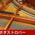 中古ピアノ ベーゼンドルファー(BOSENDORFER 225) 数多くの音楽家を魅了した「ウィンナートーン」