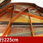 中古ピアノ ベーゼンドルファー(BOSENDORFER 225) 数多くの音楽家を魅了した「ウィンナートーン」