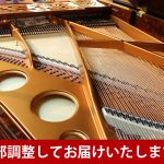 中古ピアノ ベーゼンドルファー(BOSENDORFER 170 VIENNA) ベーゼンドルファー　スペシャルエディション