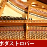 中古ピアノ ベーゼンドルファー(BOSENDORFER 170 VIENNA) ベーゼンドルファー　スペシャルエディション