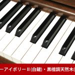 中古ピアノ ヤマハ(YAMAHA YU50Wn) ヤマハYUシリーズ最上位木目調モデル