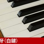 中古ピアノ ベヒシュタイン(C.BECHSTEIN 12n) ベヒシュタイン木目調小型アップライト