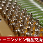 中古ピアノ ベヒシュタイン(C.BECHSTEIN M) 世界三大ピアノのひとつ、ベヒシュタインのグランドピアノ