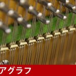 中古ピアノ ベヒシュタイン(C.BECHSTEIN 12n) 世界3大ピアノメーカーの木目・小型ピアノ