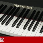 新品ピアノ ディアパソン(DIAPASON DR300) ディアパソン「総一本張」採用モデル